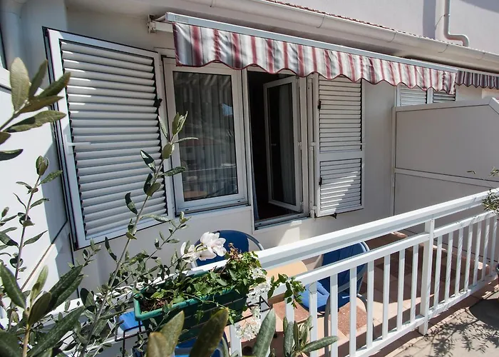 Rooms & Apartments Dolac Hvar Town che accetta animali
