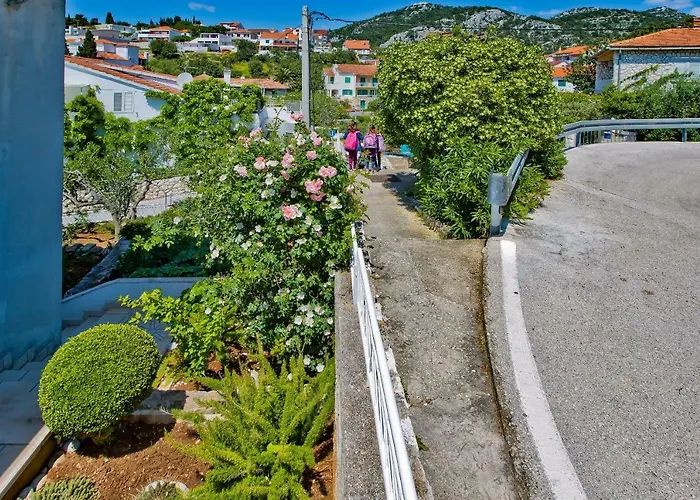 Apartments Jacky Hvar Town