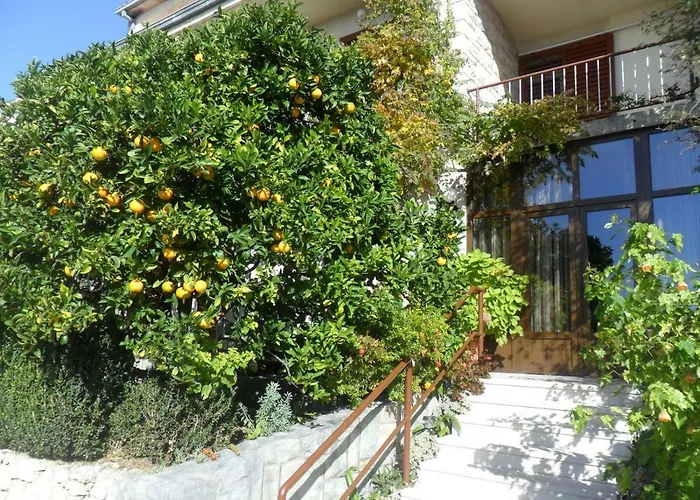 Guest House Mijo Sokol Brela