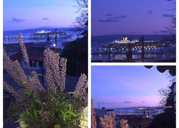 Pet friendly Apartment Artemia Split