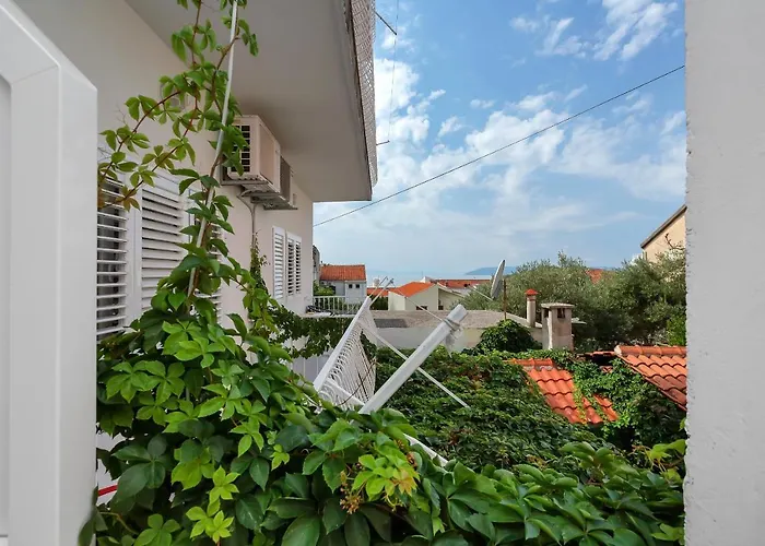 Pet friendly Ivan Makarska